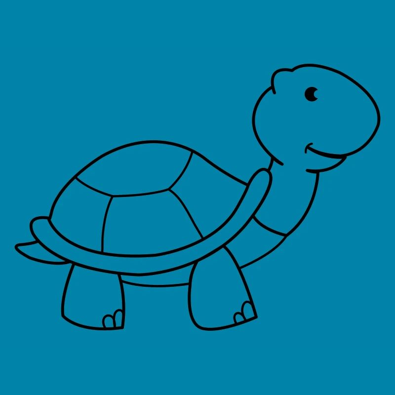 tortue
