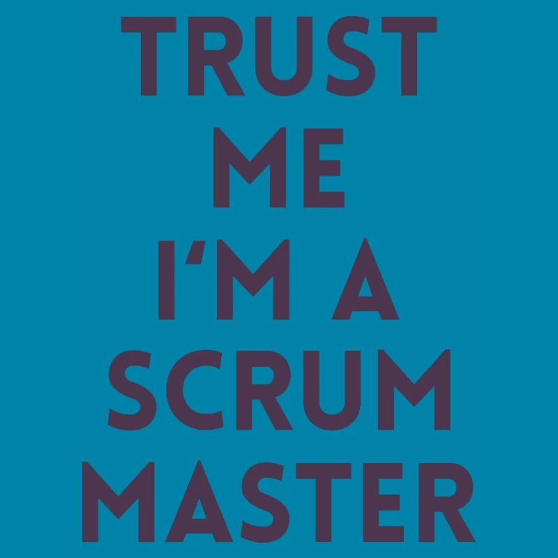 Trust me I’m a scrum master cadeau code ordinateur