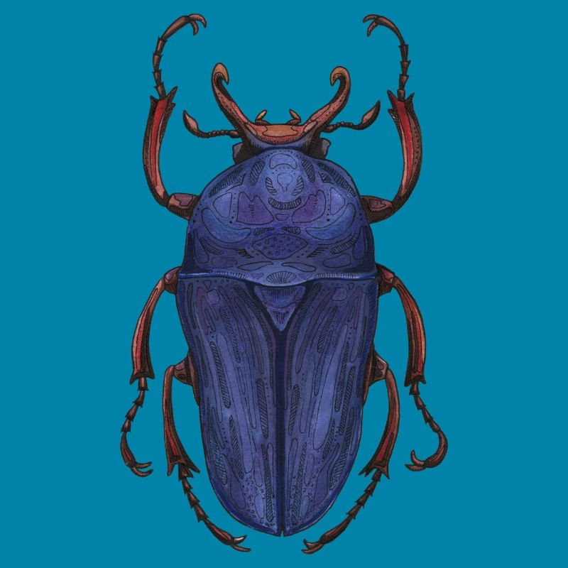 Big Beetle Stag - cerf géant