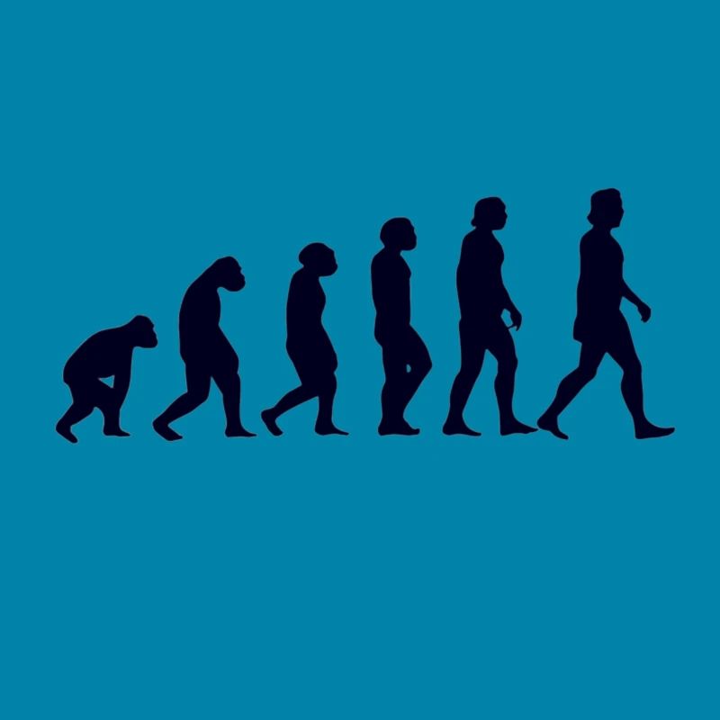 Evolution from monkey to man