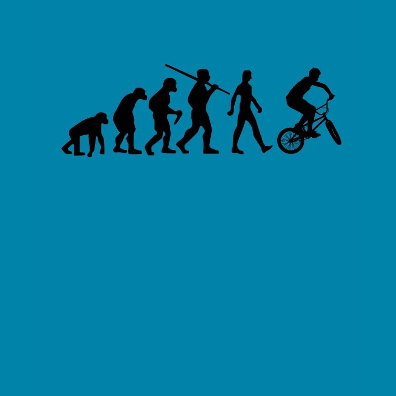 BMX Evolution BMX Roue