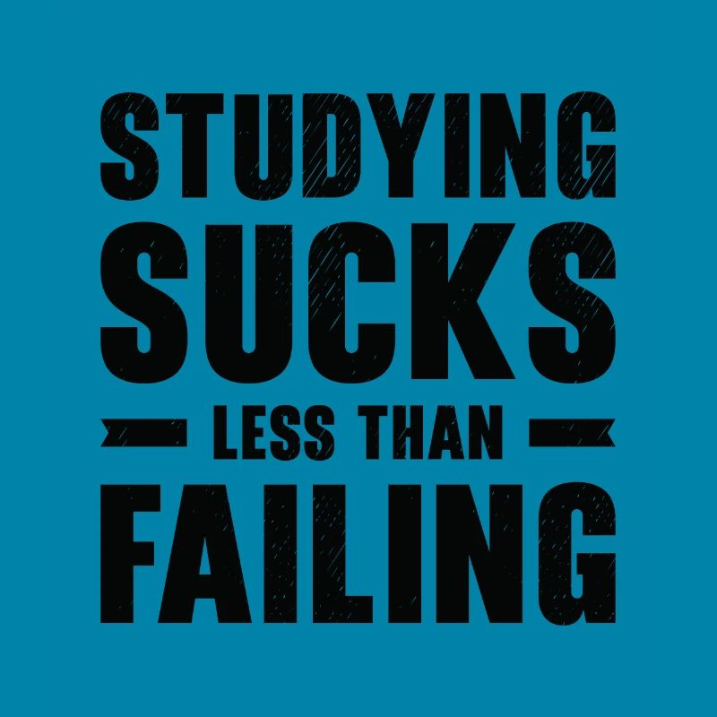 Studying Student Learning Education Lessons Study