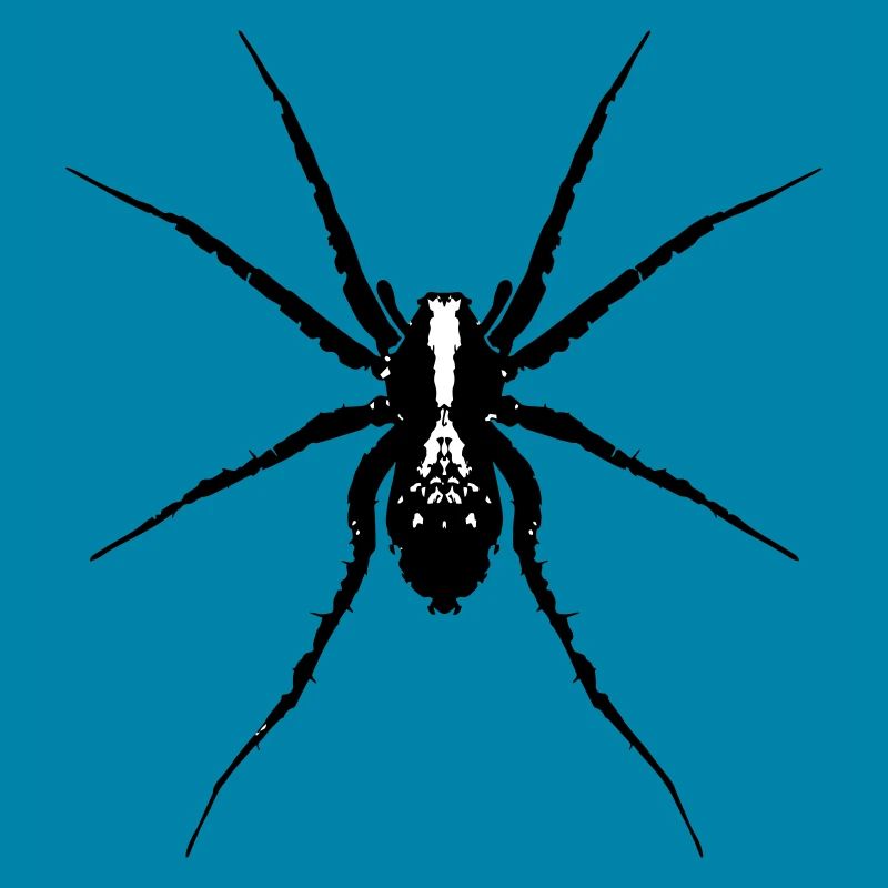 Spinne / Wolfsspinne