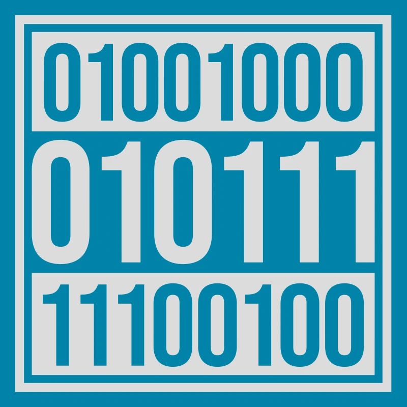Binary Code Program Language
