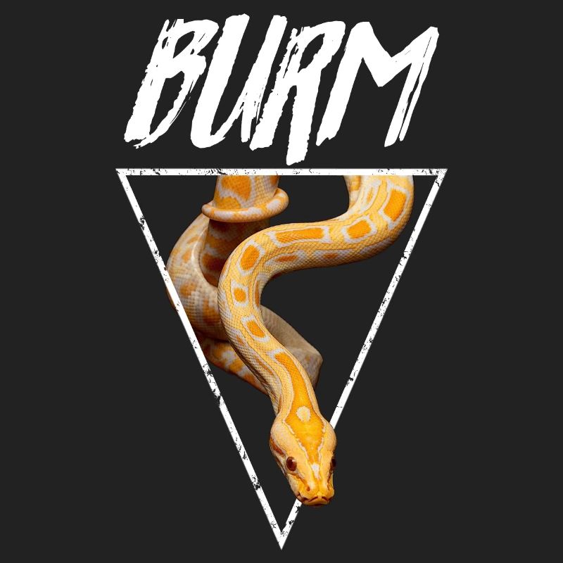 Albino Birmese Python Snake Owner