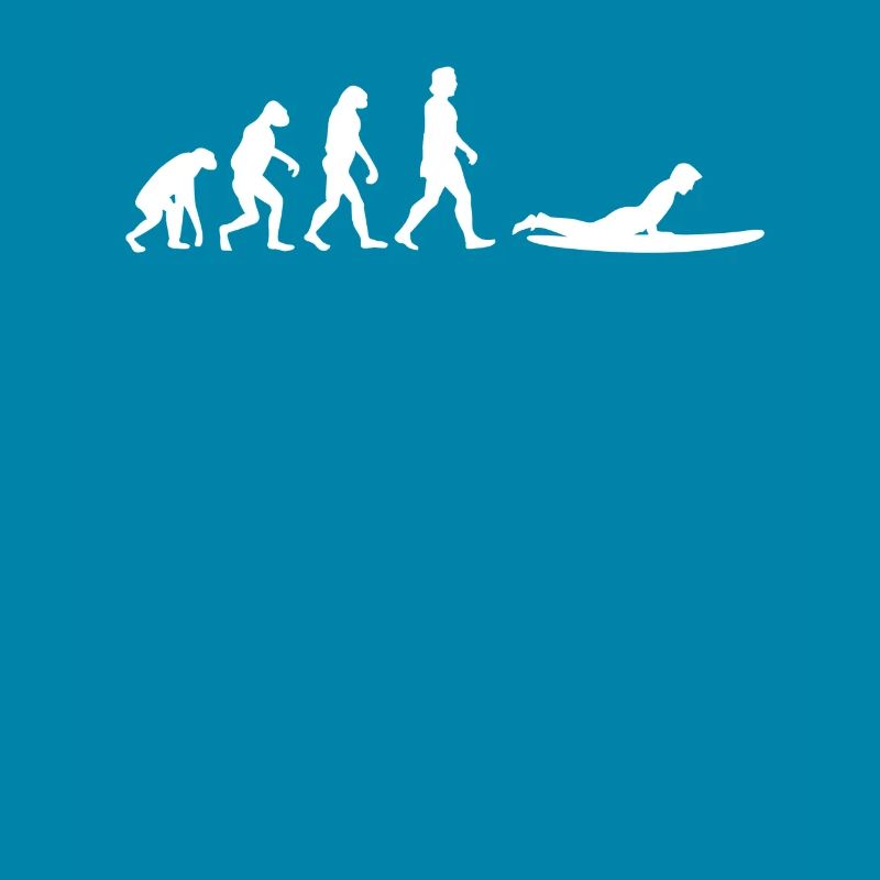 Surfen Evolution