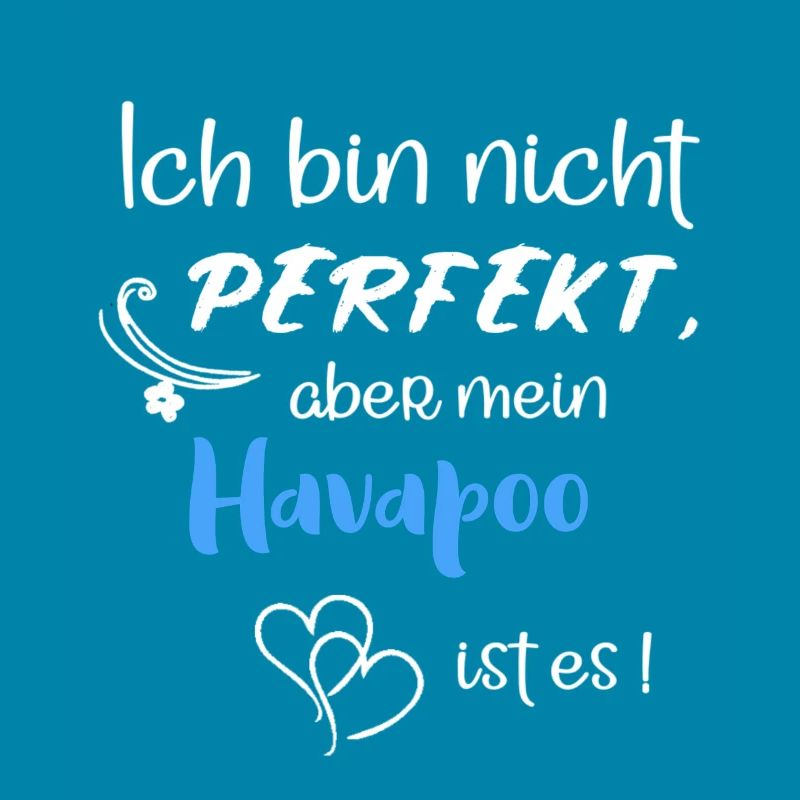 Perfekter Havapoo I Havaneser Pudel Mix