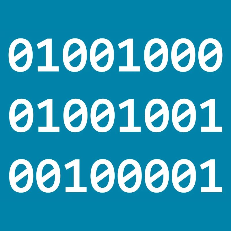 Hi Binary Programmierer grüßen sich so