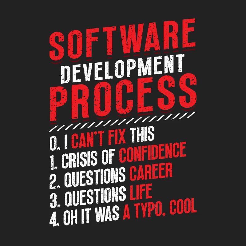 Software development process, programming