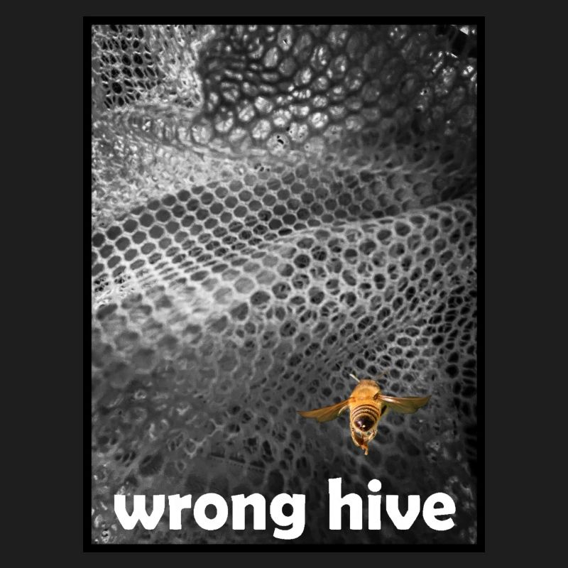Wrong Hive