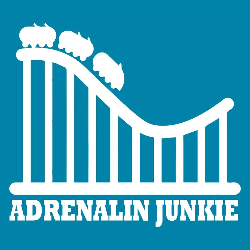 Rollercoaster Achterbahn Freizeitpark
