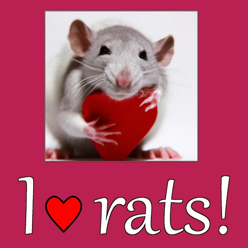 Ratte mit Herz