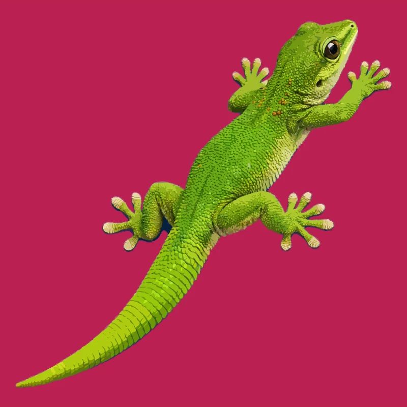 Gecko climbs 1