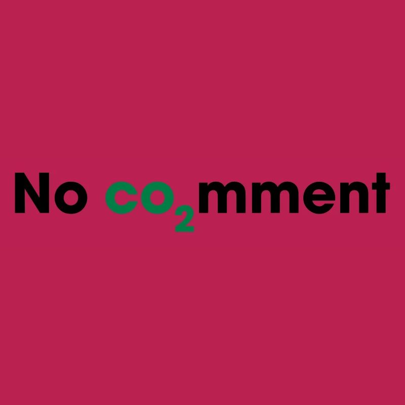 Aucun commentaire sur le CO2 – Déclaration sur l’énergie propre