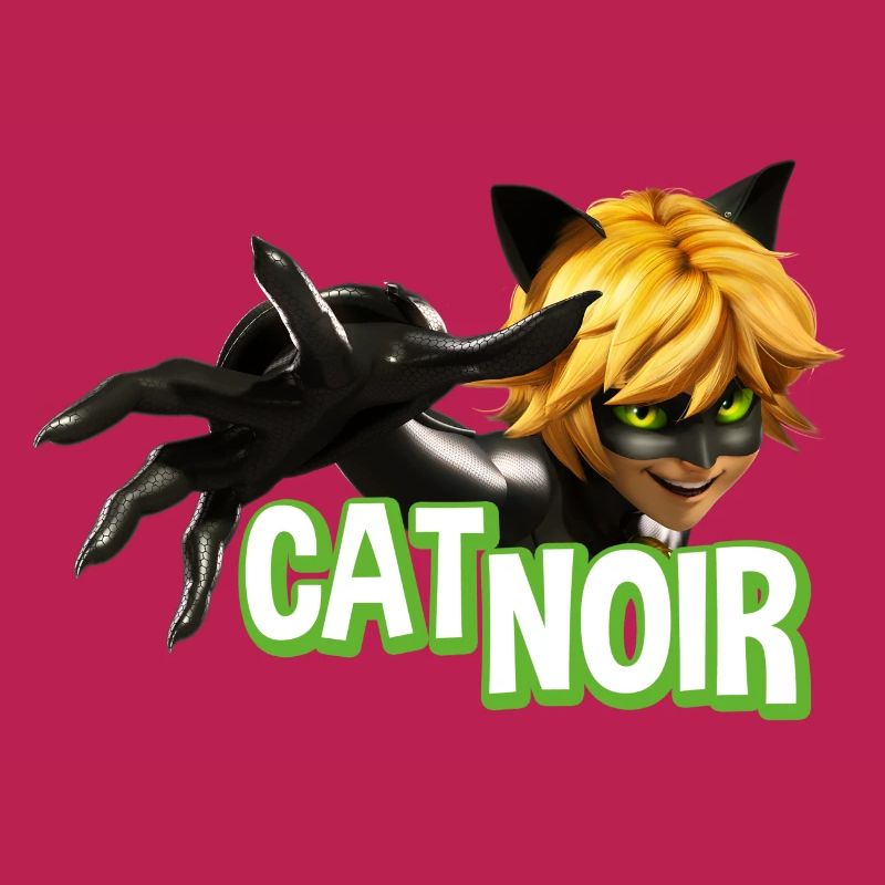 Miraculous Cat Noir Adrien Pose