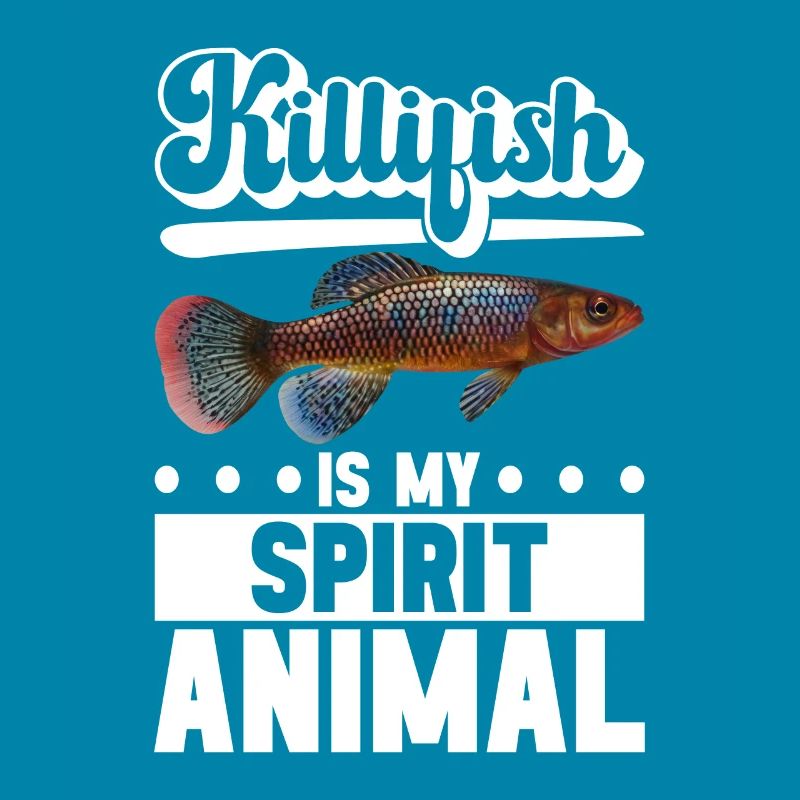Killifish Quarium Fish
