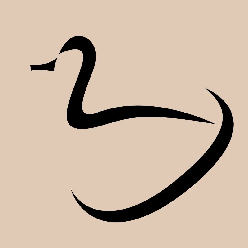 Conception de canards
