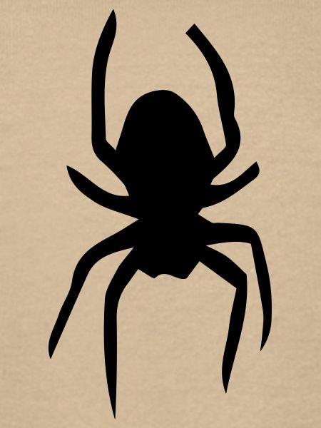 Spinne