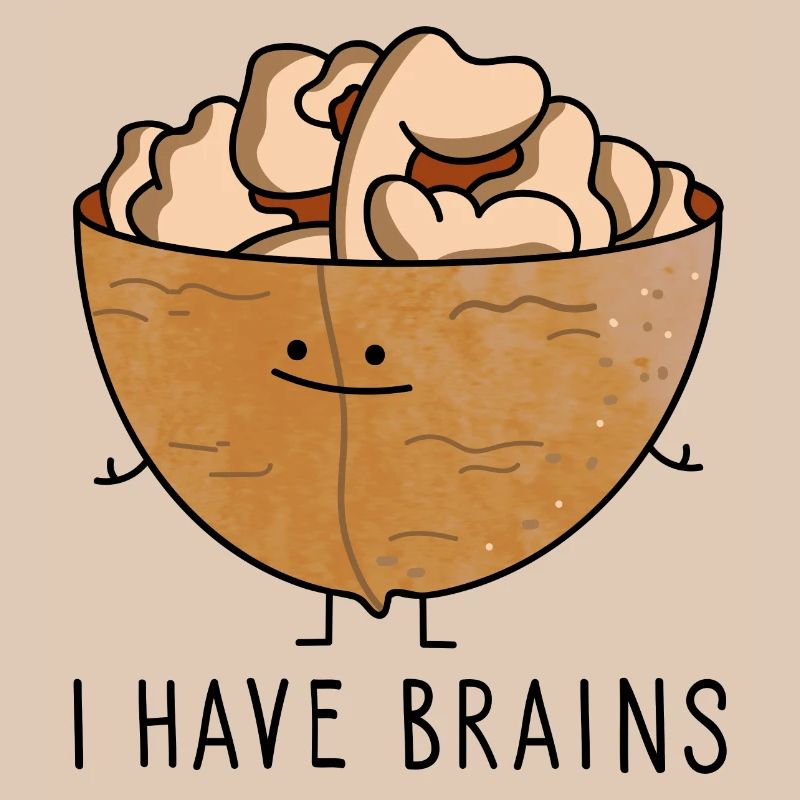 Funny clever walnut