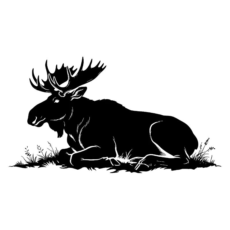 Élan