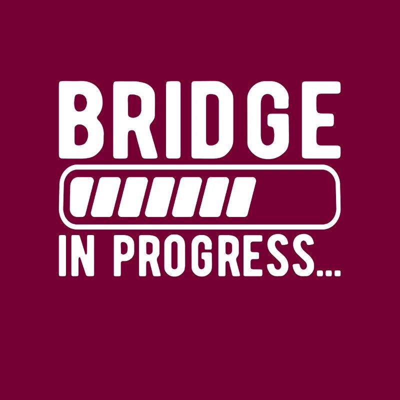 Bridge Engineer Bridge Construction