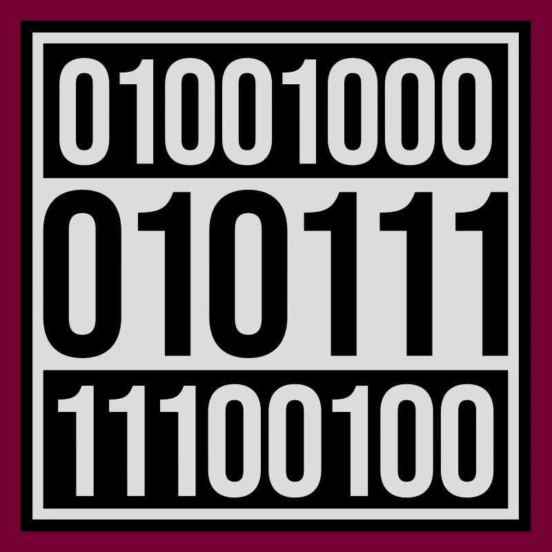 Binary Code Program Language