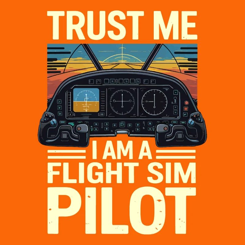 Vertrau mir ich bin ein Flugsimulatorpilot