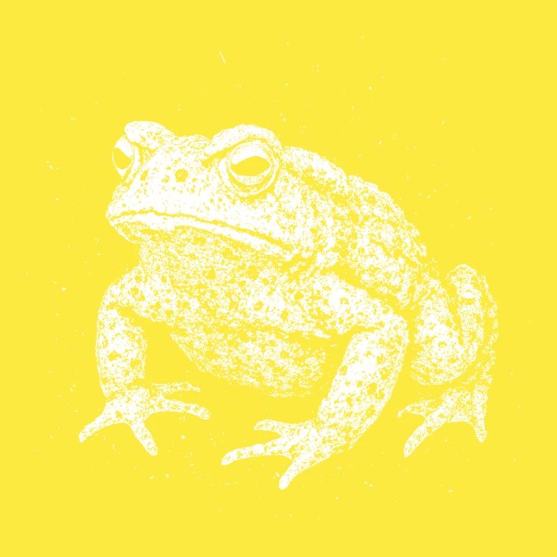 Crapaud
