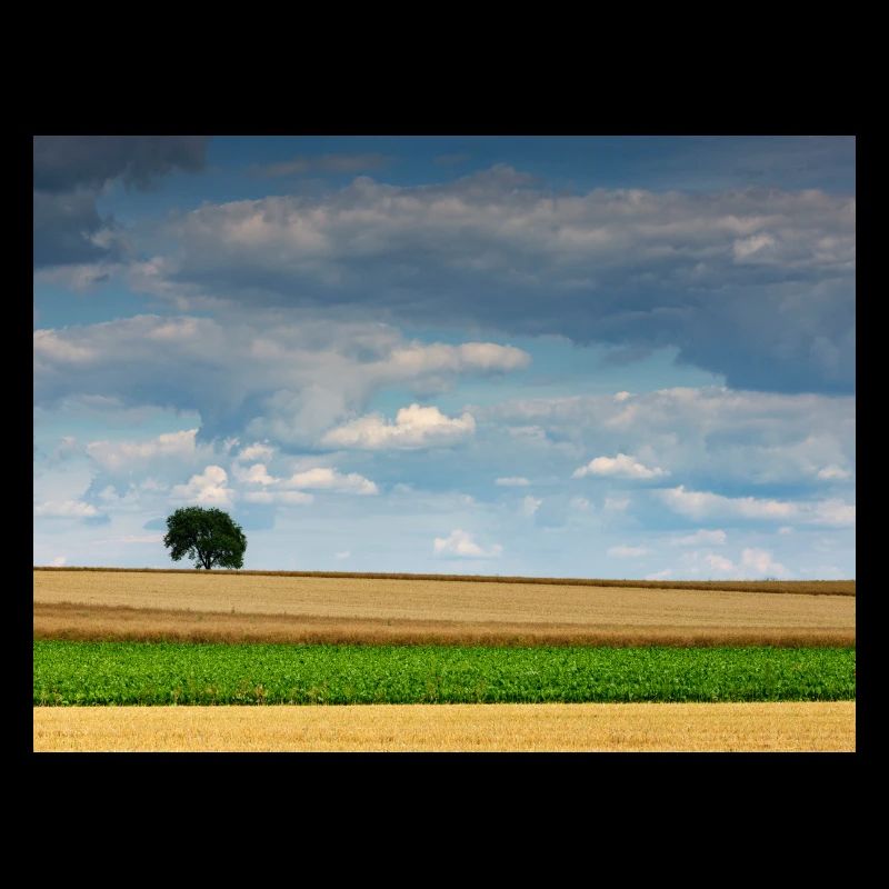 Weitblick