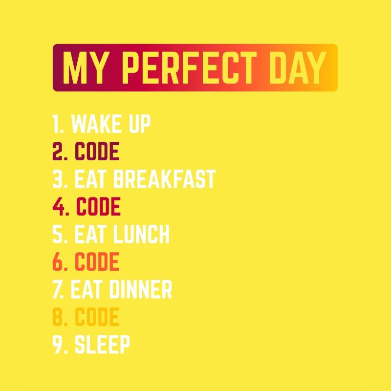 My Perfect Day Wake Up Code Software Developer Pro