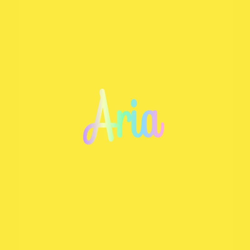 ARIA Rainbow Minimalist Cursive