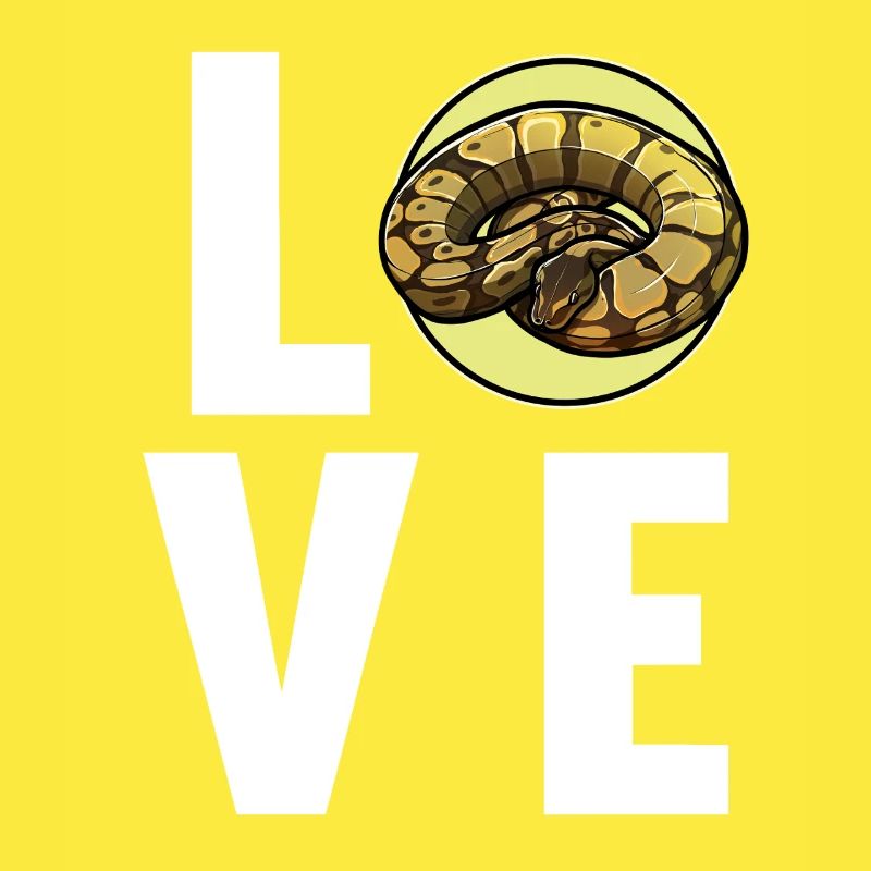 Ball Python Königspythons Königspython