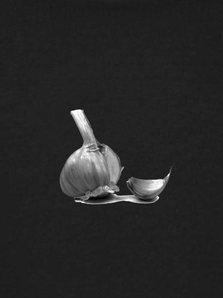 Knoblauch
