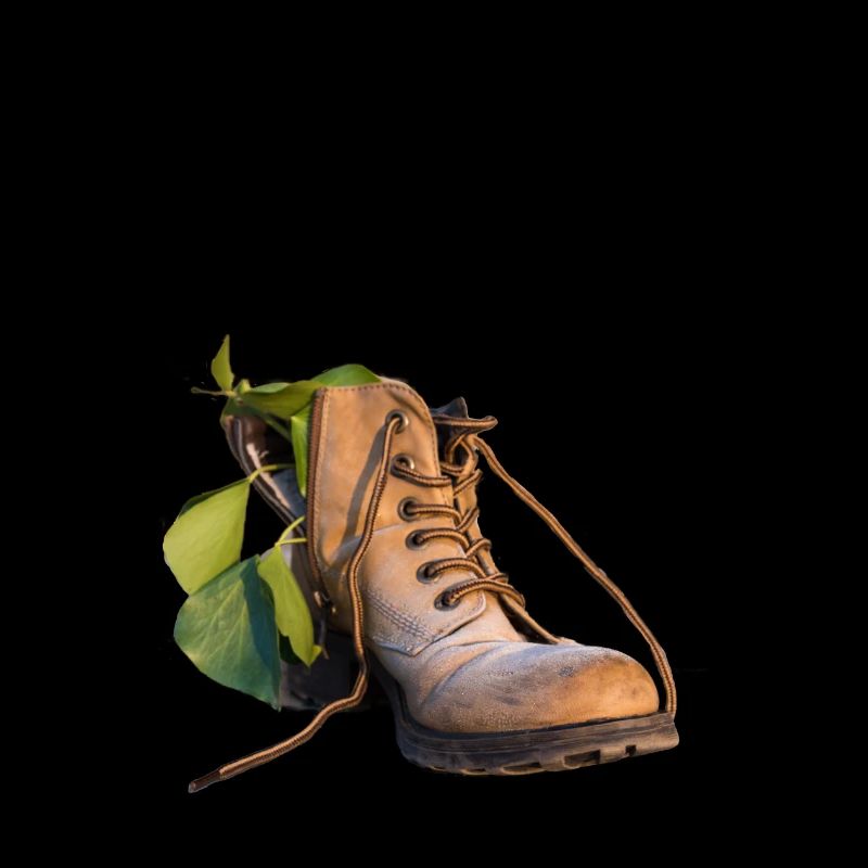 Schuh mit Grünpflanze