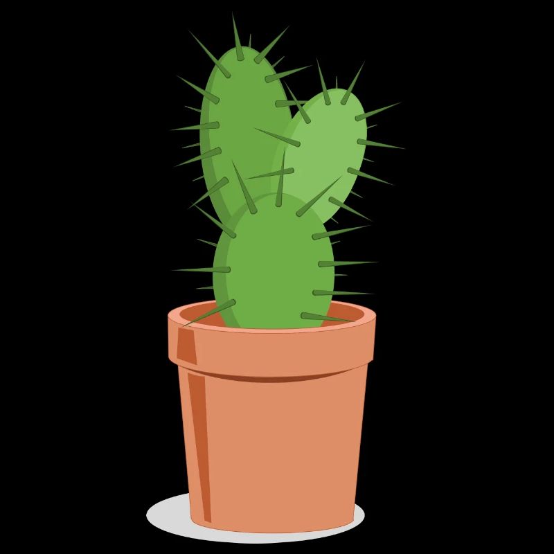 Prickly cactus