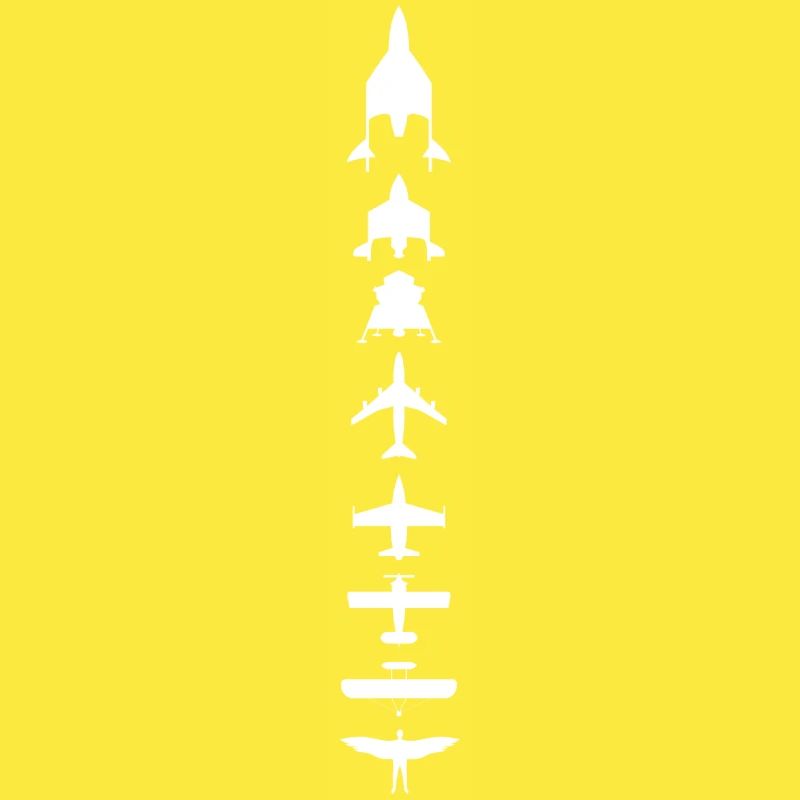 Evolution des Fliegens