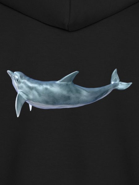 Delfin