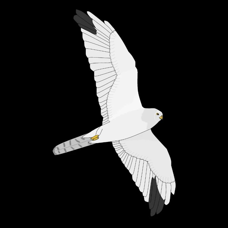 Blasser Geländeläufer