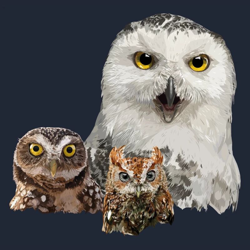 Eule, Eule und Eule
