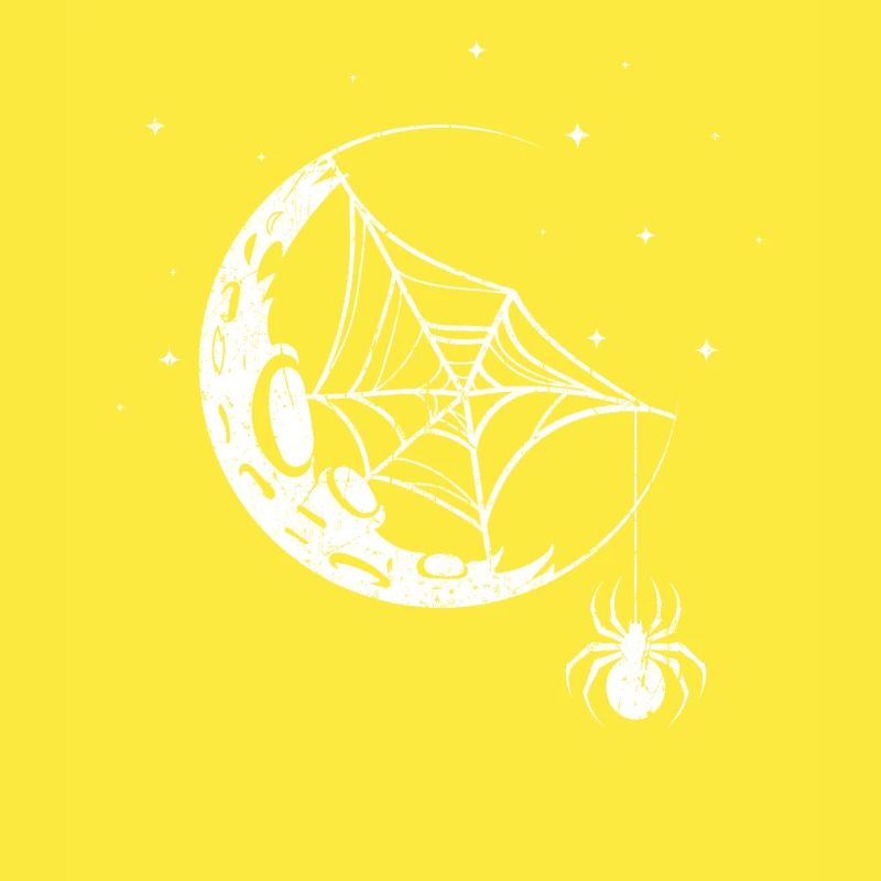Spider Spider Web