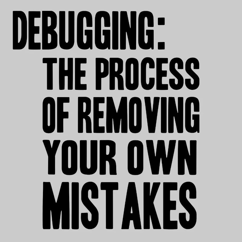 debugging process