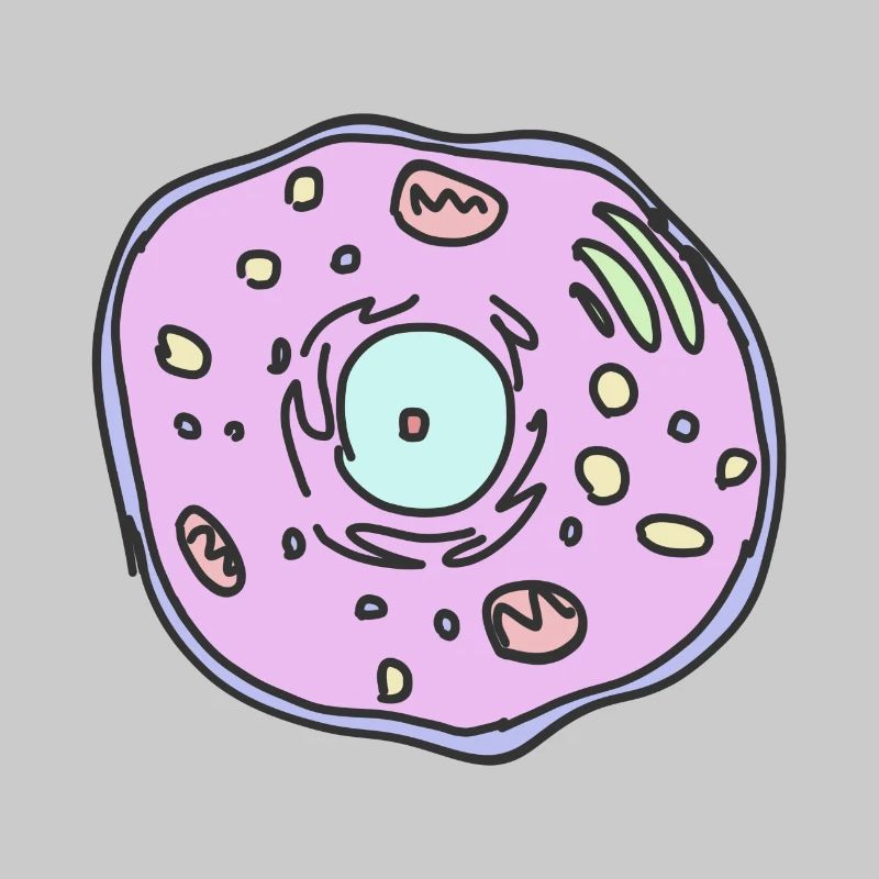 cellule animale
