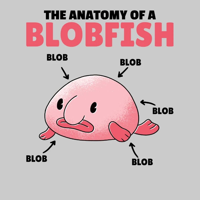 Blobfish Explication Anatomie d’un Blobfish