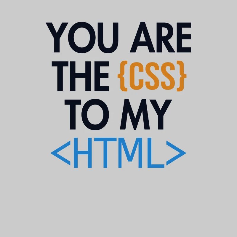 Vous êtes le CSS de mon HTML Developer Coder