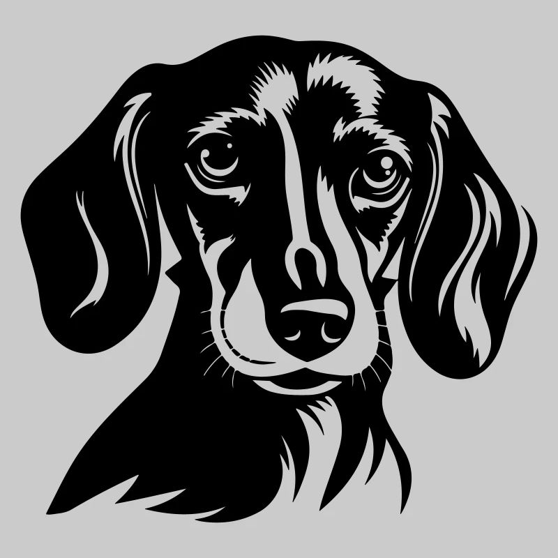 Teckel Tête De Chien Teckel