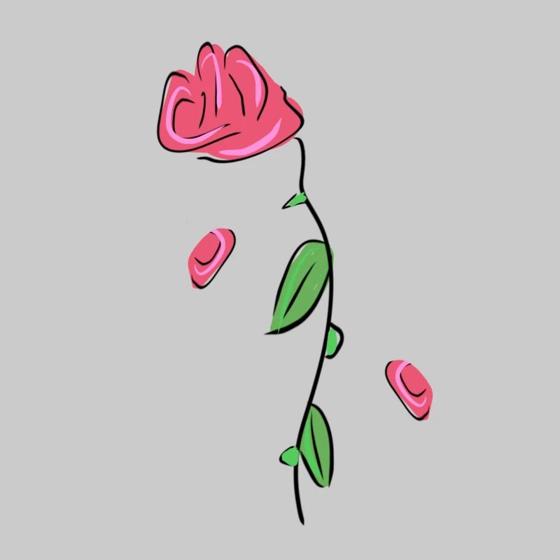 rose fleur fleur fleur fleur printemps