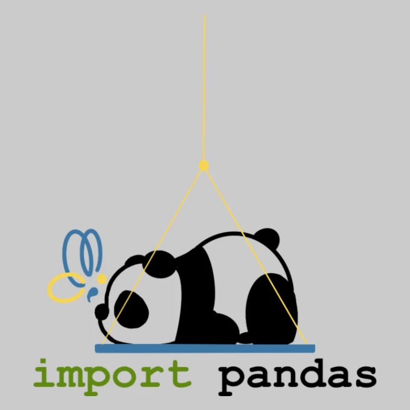 Python Jokes Import Pandas Programming
