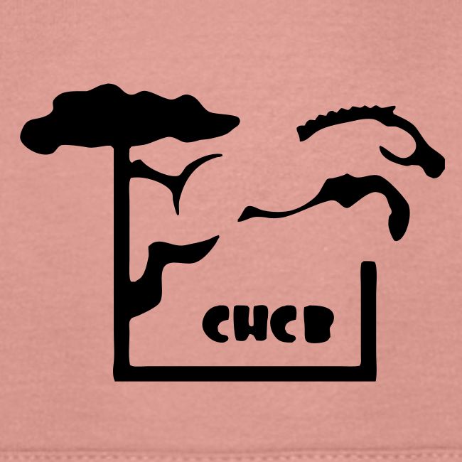Club Hippique Côte Basque | RectoVerso