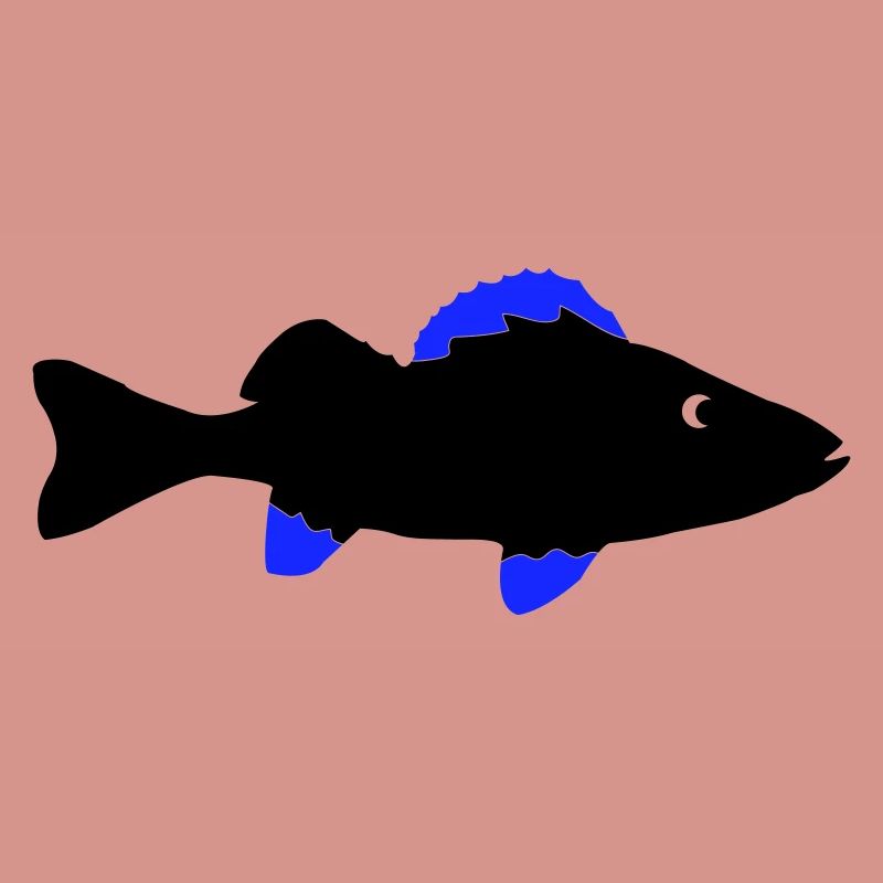 Perch Fish
