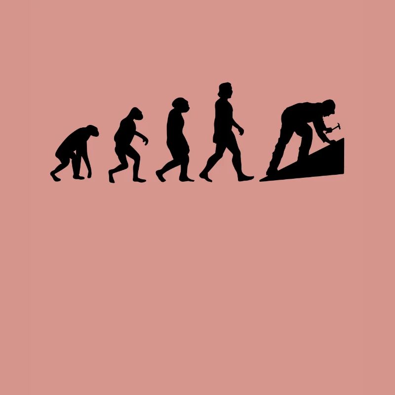 Dachdecker Evolution Hausdach Dachziegel Dach